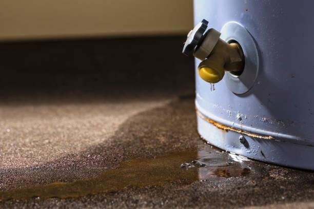  Cape Charles, VA Water damage restoration Pros